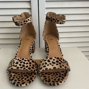 Gap pumps - size 7 (leopard print)